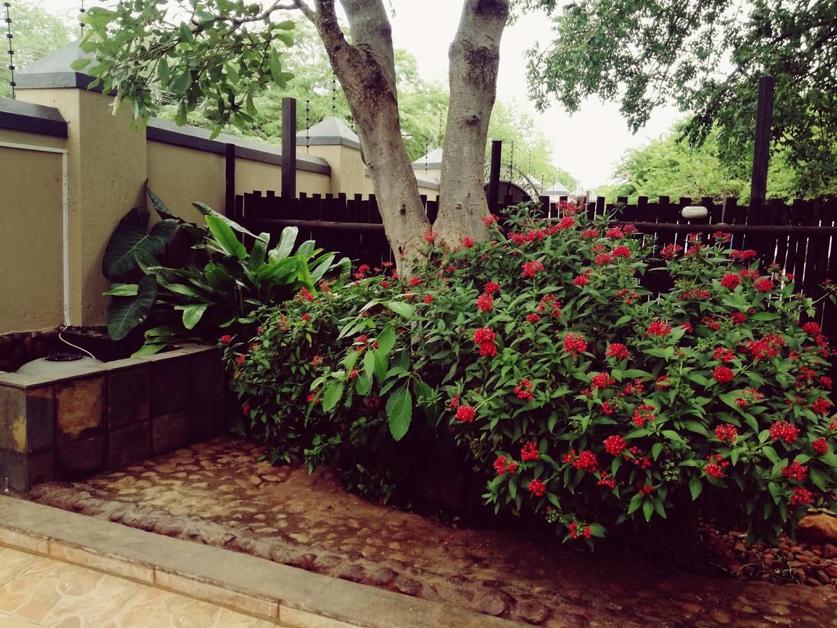 Boomhuisie Komatipoort Ngoại thất bức ảnh